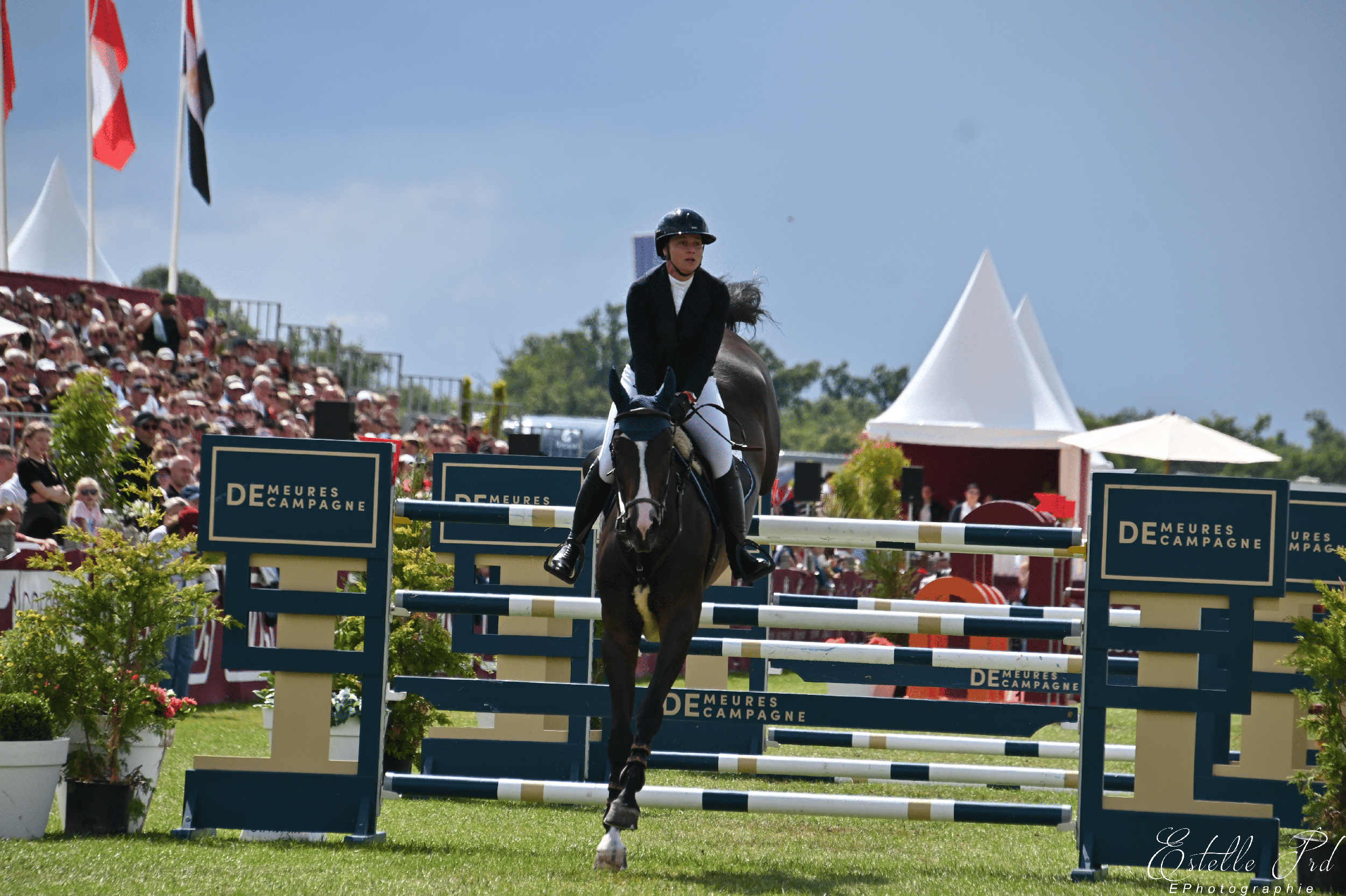 equitation_photographe_graphisme_webdesign_sponsoring_communication_sponsor_cavalier_centre_hippique_hippodrome_oise