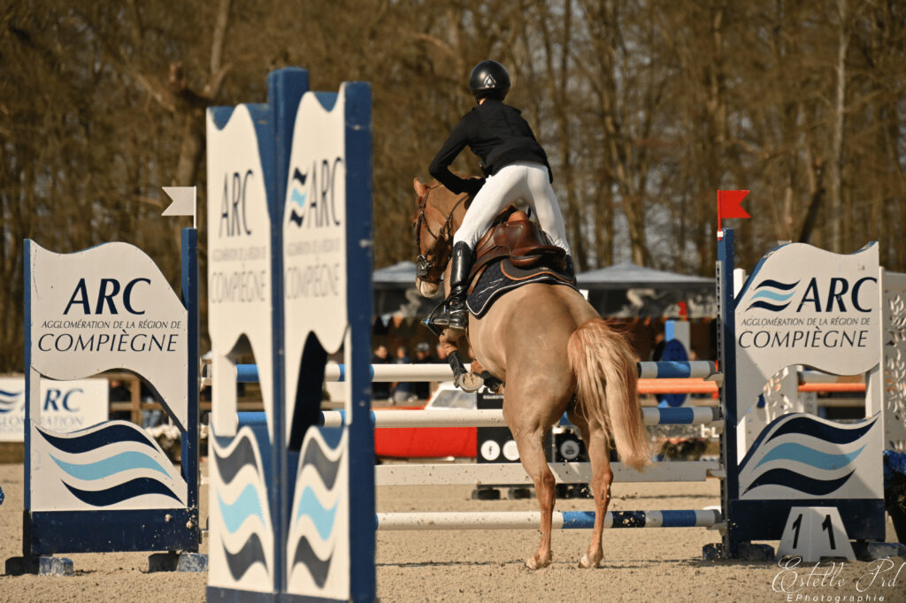 equitation_photographe_graphisme_webdesign_sponsoring_communication_sponsor_cavalier_centre_hippique_hippodrome_oise